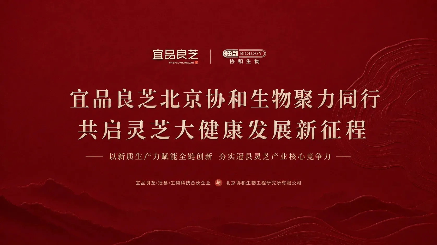 行业动态1